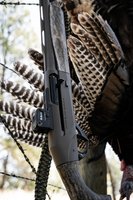 media_direct_creative_benelli_sbe3_burris_wyoming_hunt_2026_01.jpg